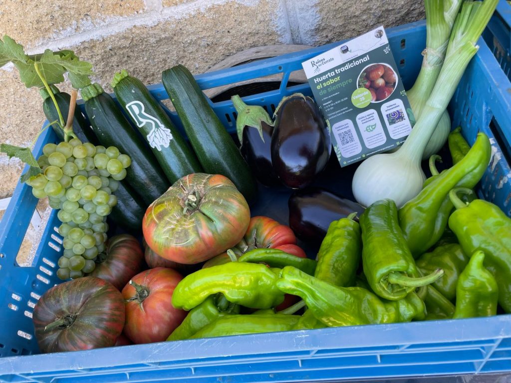 caja de verdura - raices del cerrato palentino - Palencia - España